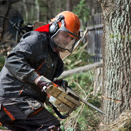 Forestry Face Shields