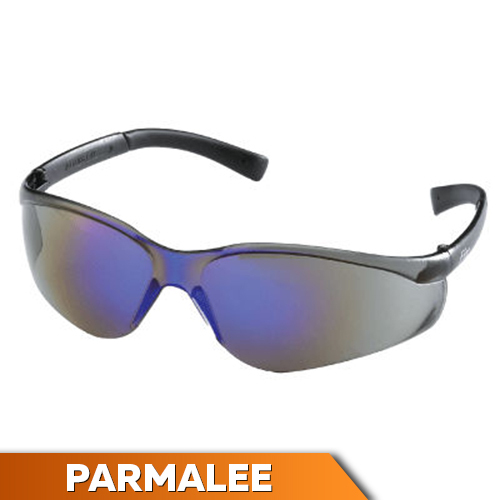 MCR Safety Parmalee Safety Glasses